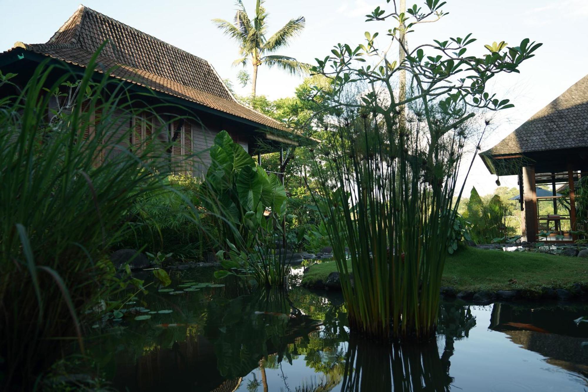 Villa Amaru Ubud Zewnętrze zdjęcie